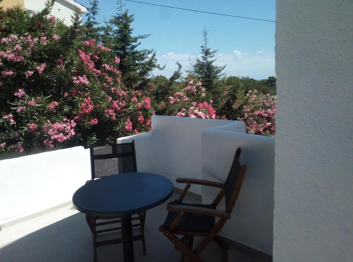 Apartments And Rooms Camelia Premantura Dış mekan fotoğraf